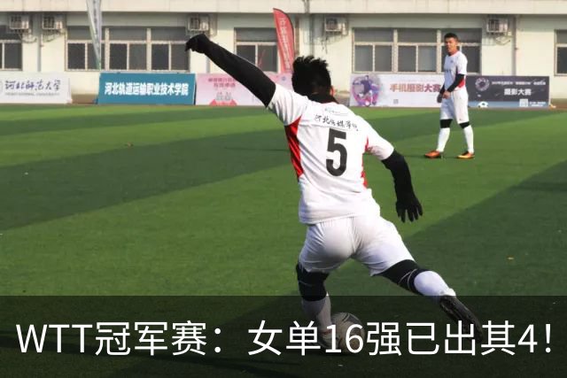 WTT冠军赛：女单16强已出其4！斯佐科斯轰3-0晋级迎战早田希娜
